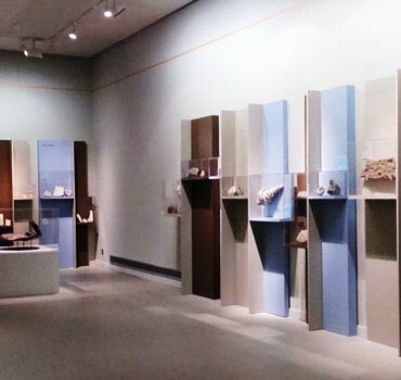 OcioSingular nos recomienda: Museo de Ciencias Naturales de la Universidad de Zaragoza - Exposiciones