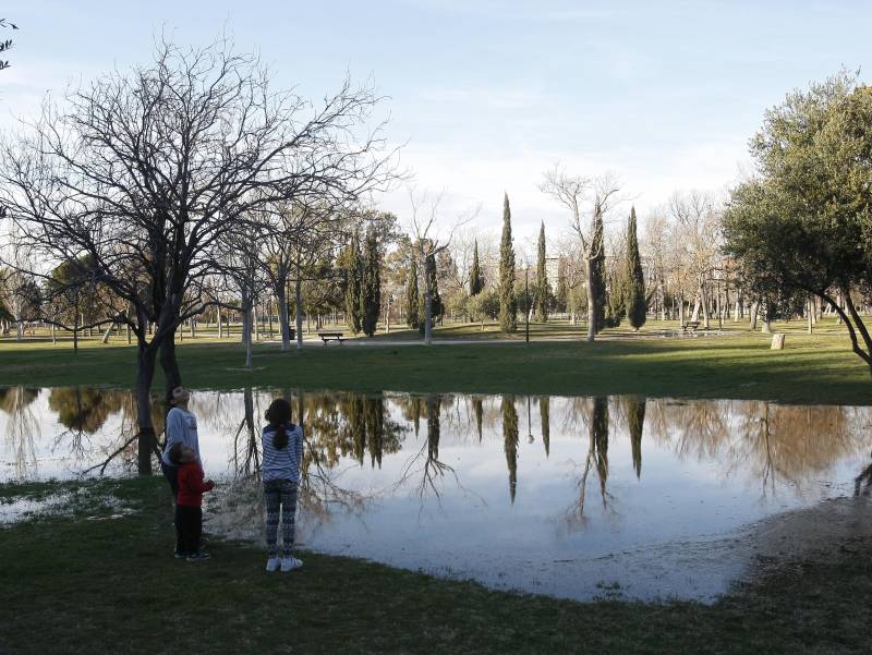 El parque Torre Ramona acogerá la VII Quedada Perruna de Las Fuentes el 31  de agosto