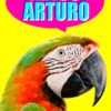 Adiós Arturo - Espectáculos