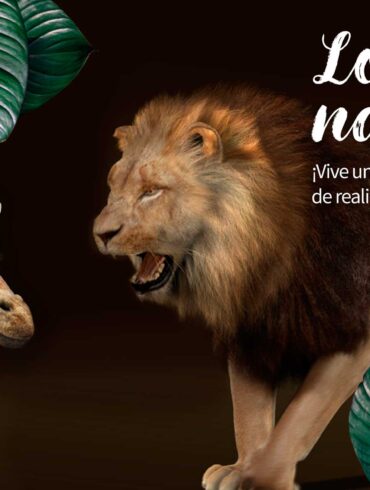 “Love natural”: realidad aumentada en Gran Casa - Que hacer en Zaragoza