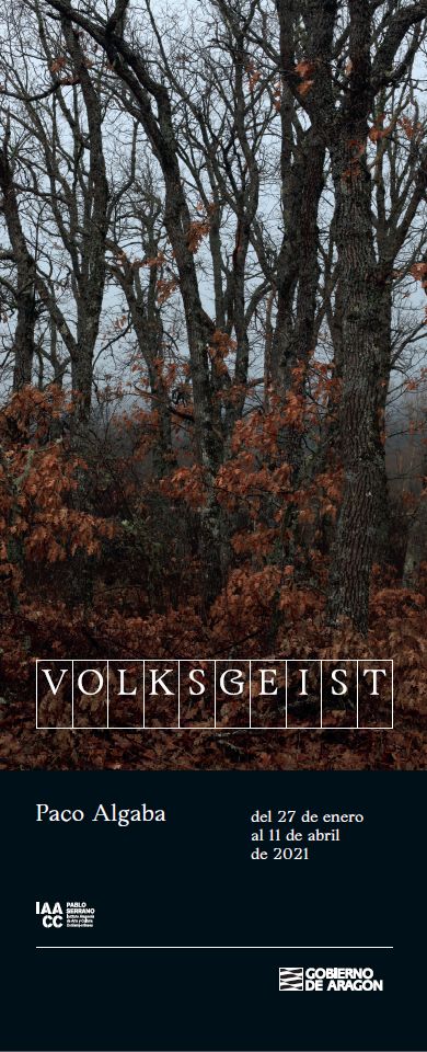 Volksgeist -