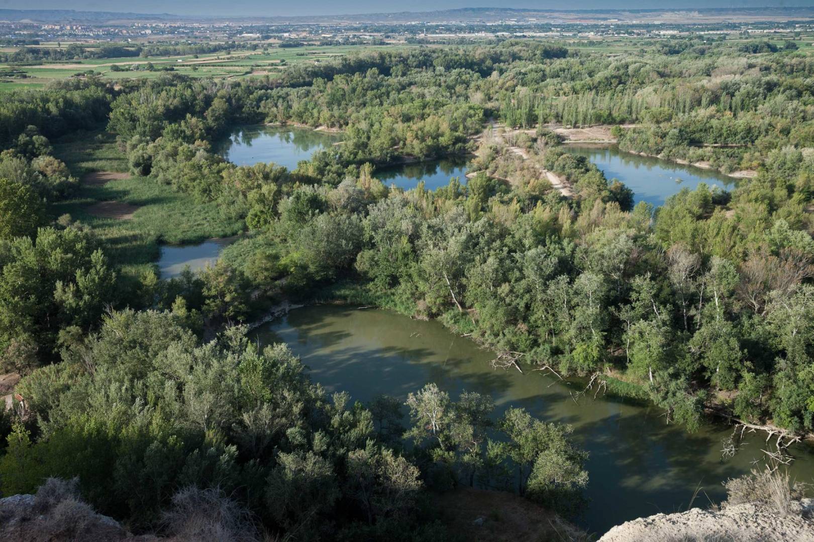 Galacho de Juslibol: Paseo guiado ‘El paisaje del agua’ -