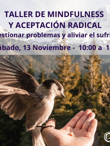 TALLER DE MINDFULNESS Y ACEPTACIÓN RADICAL -