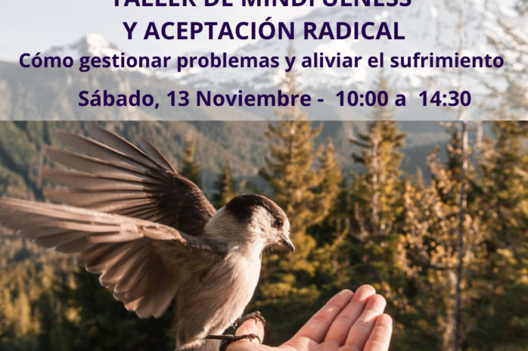 TALLER DE MINDFULNESS Y ACEPTACIÓN RADICAL -