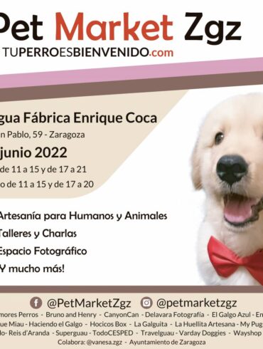 Pet Market Zgz ‘Edición Verano’ -