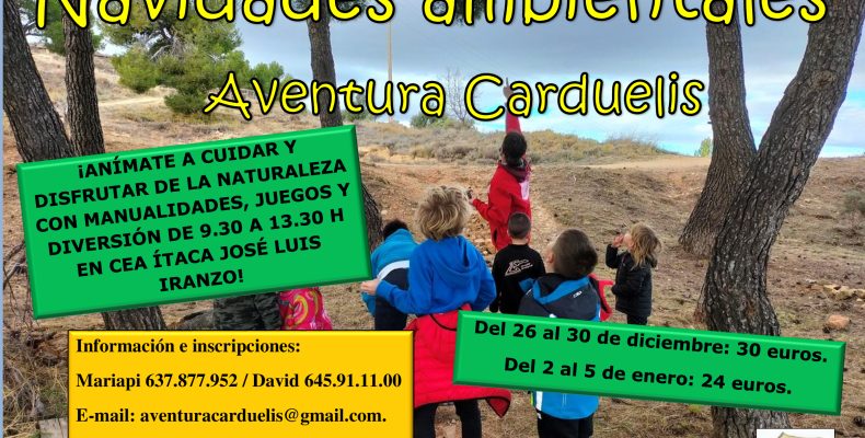 Navidades ambientales -