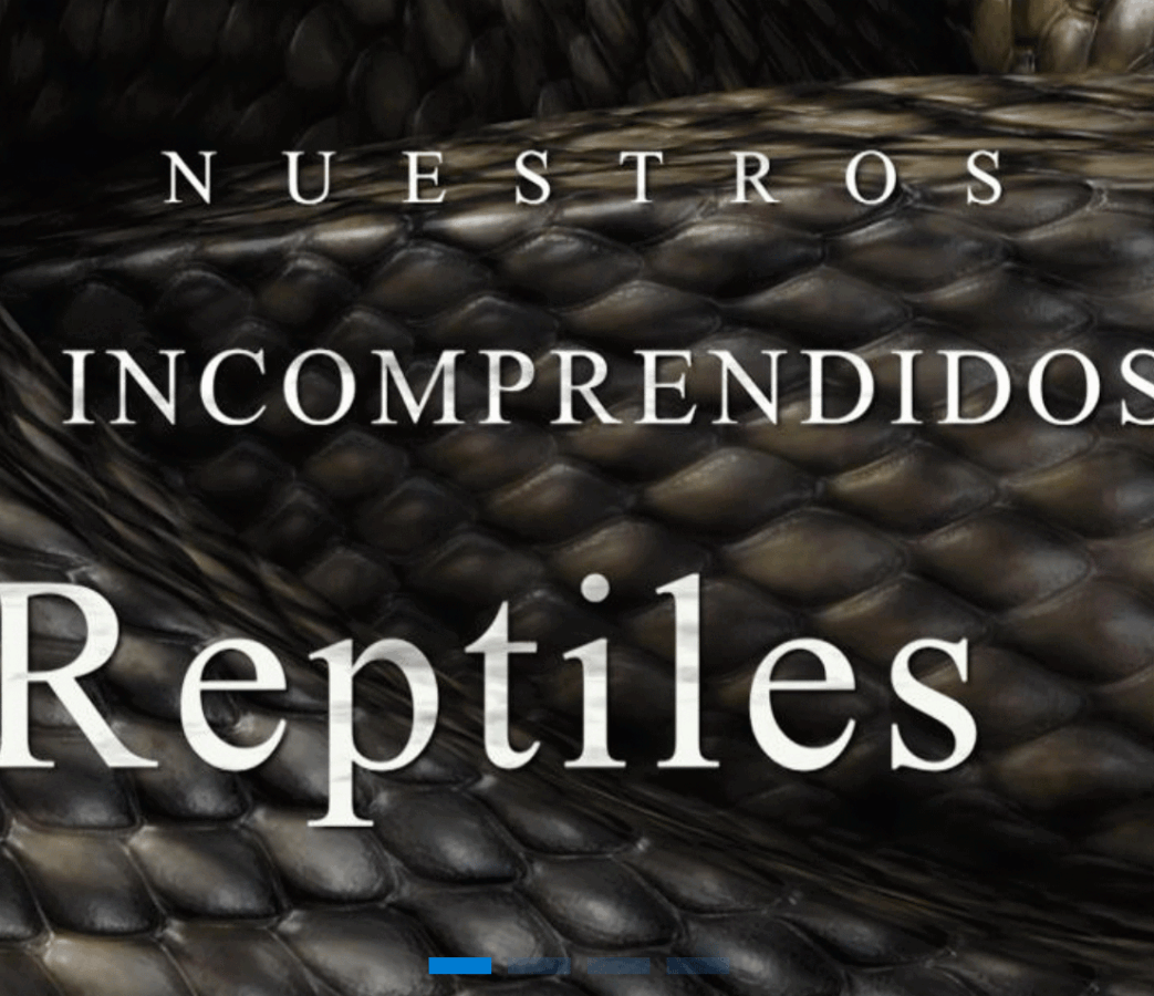 Nuestros incomprendidos reptiles -