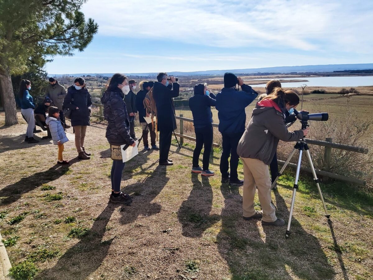 Observación de aves en la Laguna de Sariñena -