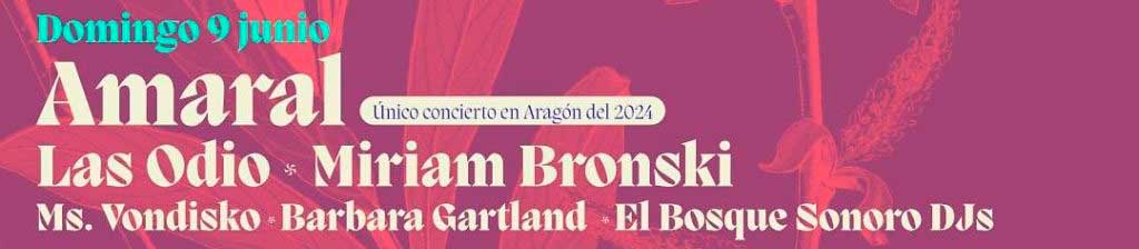 El Bosque Sonoro 2024 - Conciertos